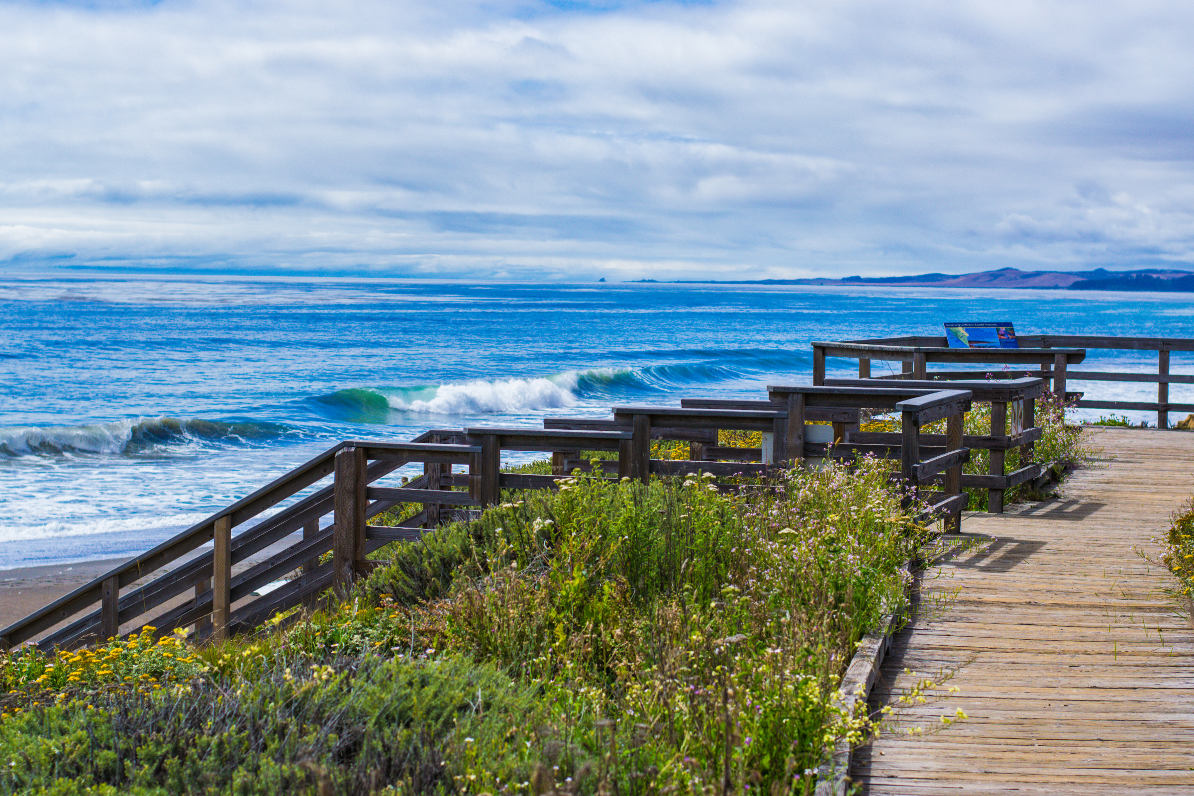 cambria, california.webp